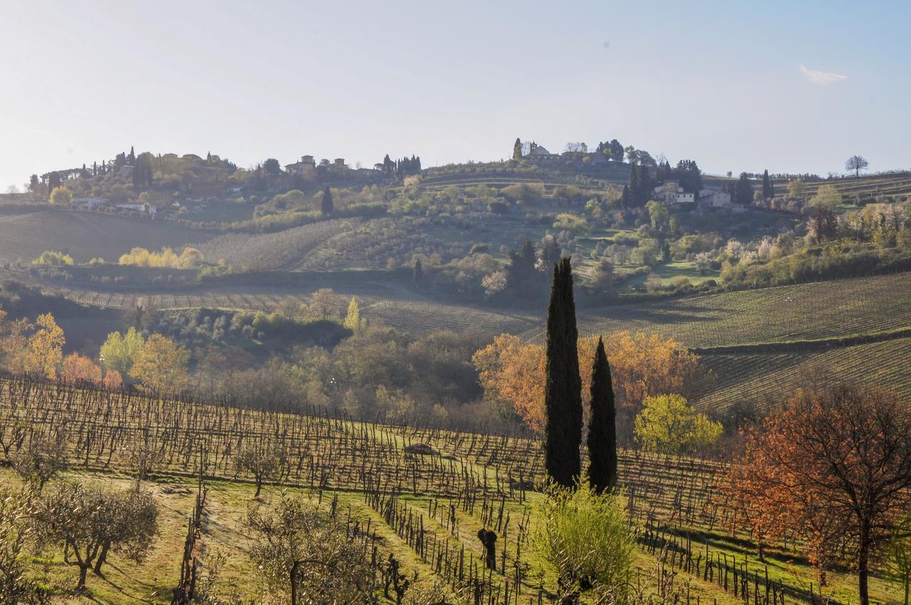 B&B Fagiolari Greve in Chianti Bagian luar foto