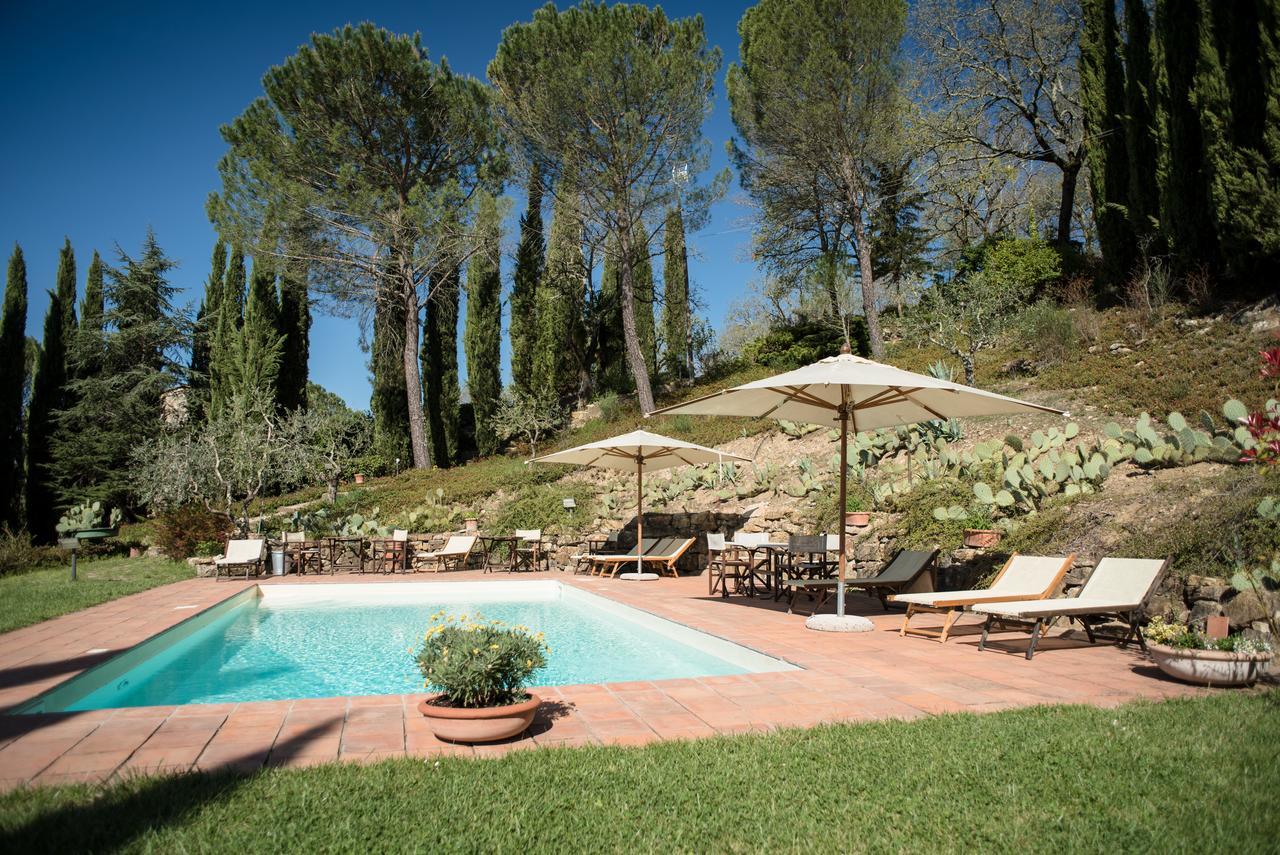 B&B Fagiolari Greve in Chianti Bagian luar foto
